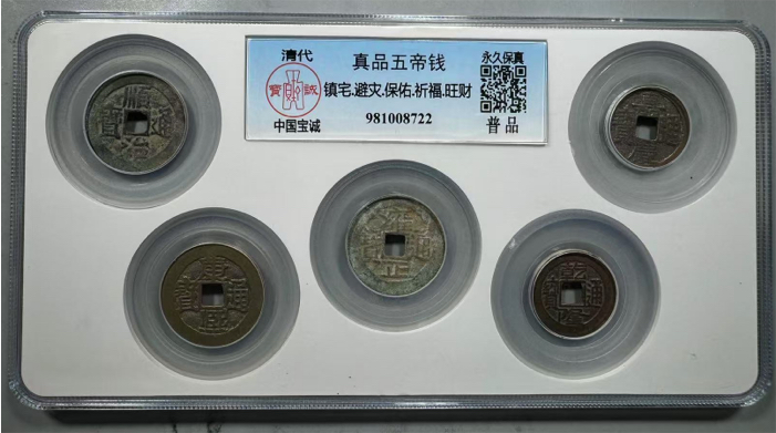 38501728985847_.pic.jpg